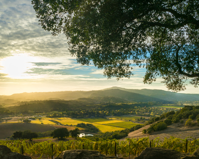 Panoramic Image of Sonoma, CA